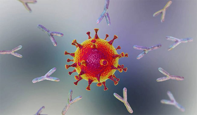 Ảnh mô phỏng kháng thể tấn công virus