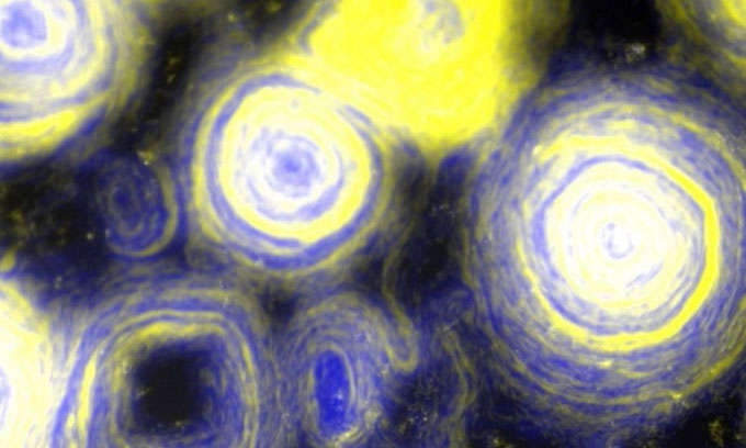 Tìm thấy loại vi khuẩn đột biến giống tranh Van Gogh