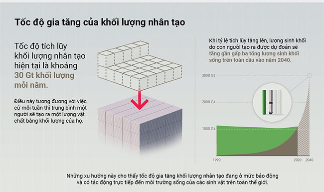 Lượng vật chất nhân tạo chính thức vượt quá trọng lượng toàn bộ sinh khối toàn cầu