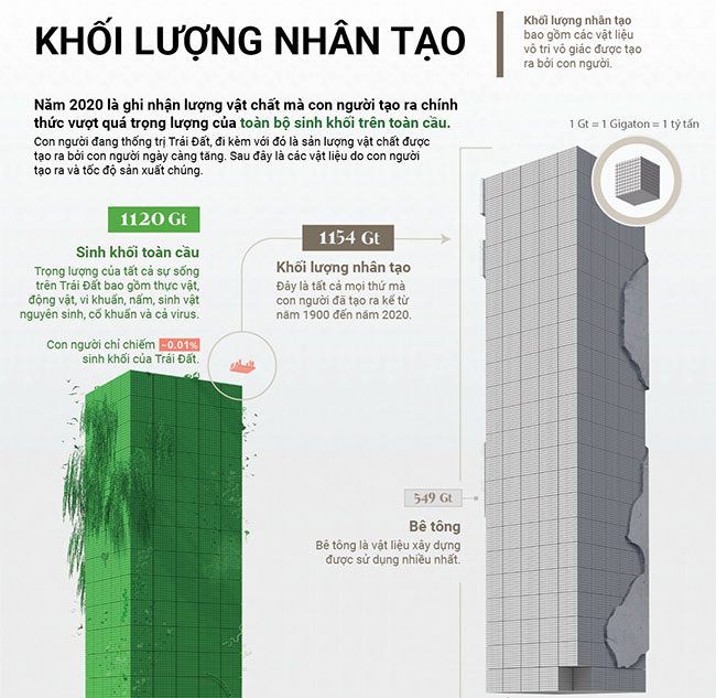 Lượng vật chất nhân tạo chính thức vượt quá trọng lượng toàn bộ sinh khối toàn cầu