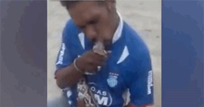 Trăn khủng bất ngờ "nổi điên", đớp thẳng vào mặt người đàn ông