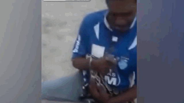 As he was about to kiss the python on the head, the man was bitten on the face.