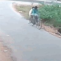 Rắn hổ mang chúa phi thân tấn công 2 thanh niên đi xe đạp