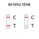 Cách sử dụng và đọc kết quả trên kit test Covid-19