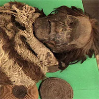 Kiểm tra xác ướp, choáng vì virus gây "dịch bệnh lạ" 2.000 năm trước