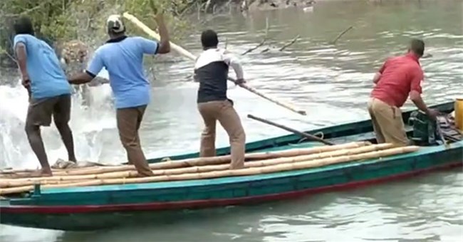 Hổ dữ lao ra tấn công người dân và diễn biến gay cấn phía sau