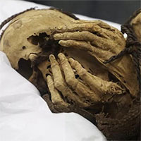 Tìm thấy xác ướp bị trói tay trong mộ cổ hơn 1.000 năm tuổi ở Peru