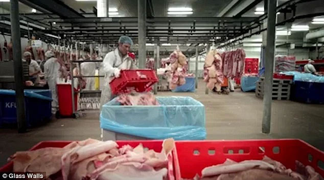 Một khi biết kẹo dẻo được làm ra thế nào, bạn sẽ không muốn ăn chúng nữa