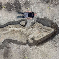 Tìm thấy hóa thạch "rồng biển" 180 triệu năm tuổi dài hơn 10m