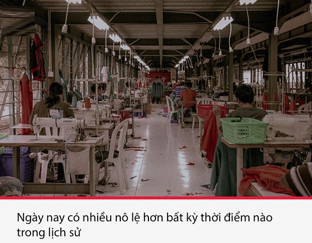 Top 15 sự thật thú vị nhưng vô cùng ám ảnh, thể hiện một góc khác của thực tại chúng ta sống