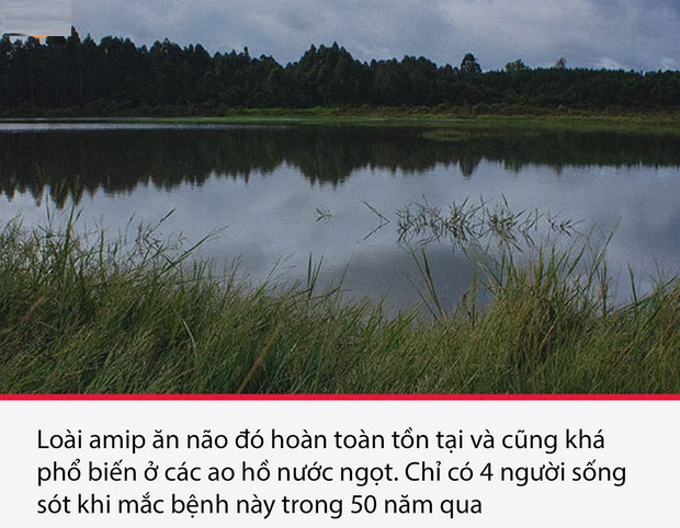 Top 15 sự thật thú vị nhưng vô cùng ám ảnh, thể hiện một góc khác của thực tại chúng ta sống