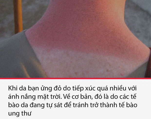 Top 15 sự thật thú vị nhưng vô cùng ám ảnh, thể hiện một góc khác của thực tại chúng ta sống