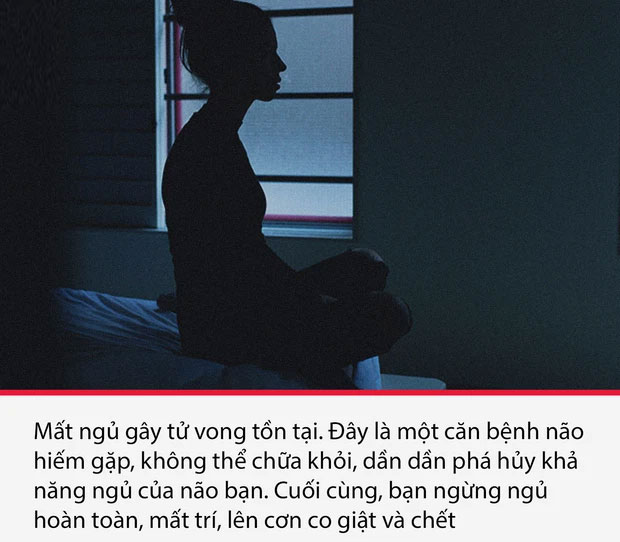 Top 15 sự thật thú vị nhưng vô cùng ám ảnh, thể hiện một góc khác của thực tại chúng ta sống