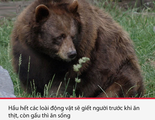 Top 15 sự thật thú vị nhưng vô cùng ám ảnh, thể hiện một góc khác của thực tại chúng ta sống