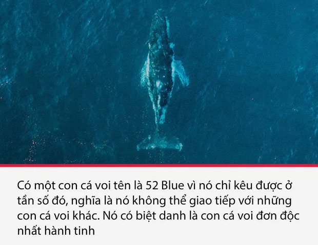 Top 15 sự thật thú vị nhưng vô cùng ám ảnh, thể hiện một góc khác của thực tại chúng ta sống