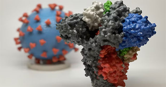 Vật liệu in 3D đầu tiên trên thế giới có thể tiêu diệt virus SARS-CoV-2