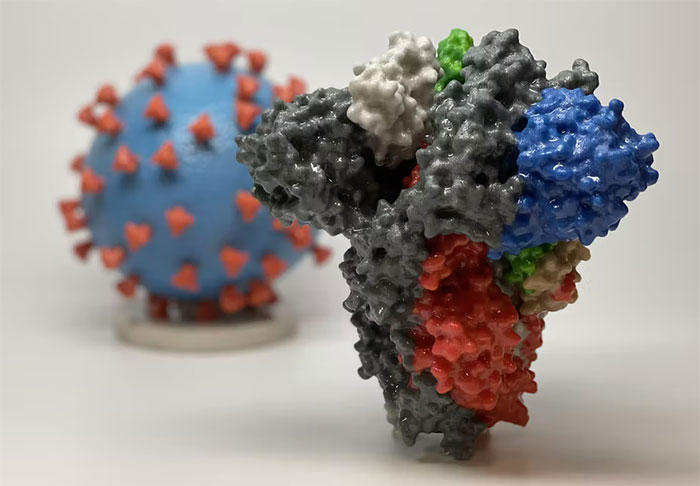  Hình ảnh 3D của virus SARS-CoV-2 (phía sau) 