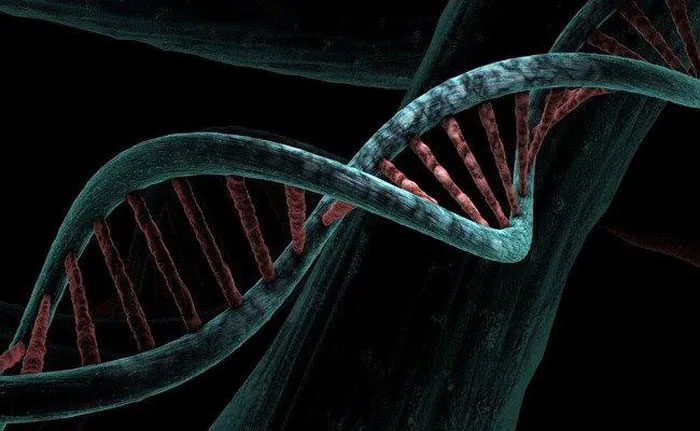Phát hiện biến thể gene có khả năng chống lại Covid-19