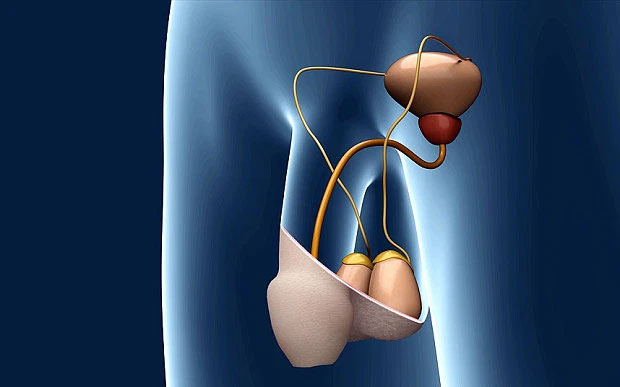 Hạt nano sưởi ấm tinh hoàn có thể giúp nam giới tránh thai trong 7 ngày