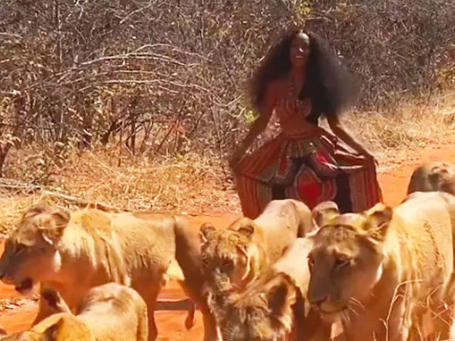 Người phụ nữ đi dạo cùng 6 con sư tử cái trong rừng rậm.