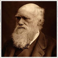 Bí ẩn từng khiến Charles Darwin đau đầu được giải mã sau 140 năm