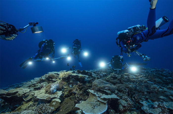 Nhóm nghiên cứu rạn san hô ở ngoài khơi đảo Tahiti, xứ Polynesia thuộc Pháp