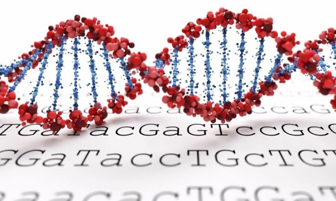 Kỹ thuật mới giúp rút ngắn đáng kể thời gian giải trình tự hệ gene.