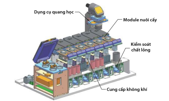 Bảo mẫu robot Trung Quốc chăm sóc thai trong tử cung nhân tạo