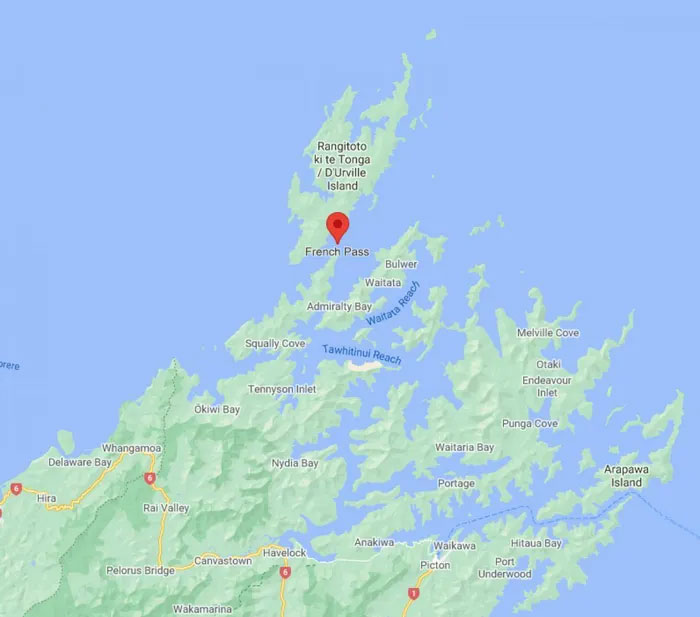 Chú cá heo dẫn đường tàu thuyền qua eo biển New Zealand trong 24 năm