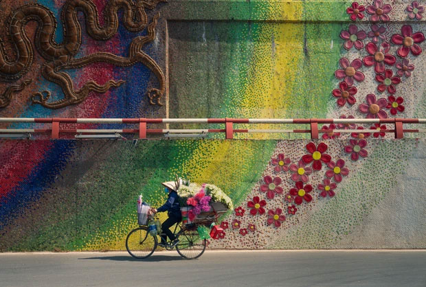Bức ảnh "xe đạp và hoa".