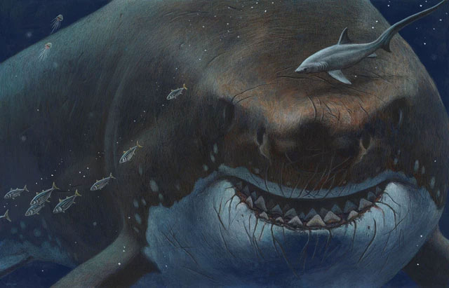 Các Nhà Khoa Học Xác Nhận Họ Chẳng Biết Siêu Cá Mập Megalodon Thật Sự Trông  Như Thế Nào - Khoahoc.Tv