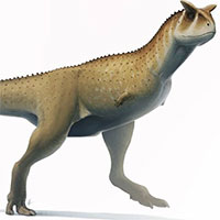 Kỳ lạ loài khủng long "cụt tay", dùng chính cái đầu làm vũ khí tấn công