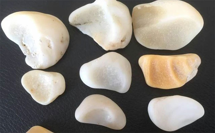 Đào ao ở sân sau, lão nông tình cờ đụng trúng sinh vật biển cổ đại hóa ngọc cực hiếm