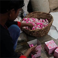 Toàn cảnh quy trình sản xuất nước hoa mùi đất giá "đắt cắt cổ" tại Ấn Độ