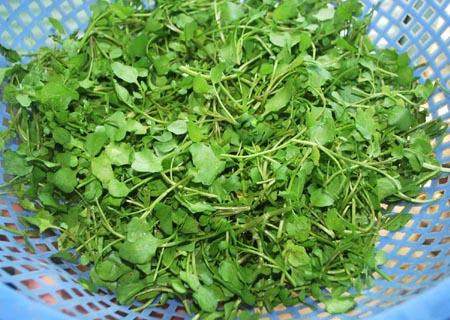 Watercress is rich in Vitamin K and potassium.