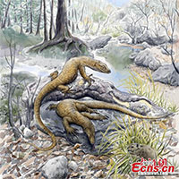 Phát hiện về hóa thạch thằn lằn 52 triệu năm hé lộ "bí ẩn sốc"