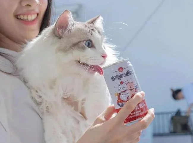 Nghề nếm thức ăn cho chó mèo đang nở rộ ở Trung Quốc