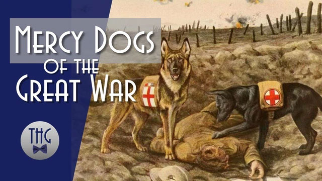 Người lính bị thương được tìm thấy bợi đội ngũ Mercy dogs.