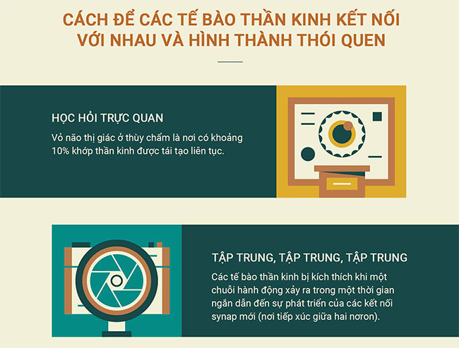 Làm thế nào để bộ não hình thành một thói quen mới?