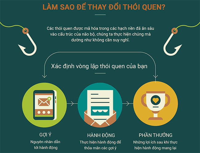 Làm thế nào để bộ não hình thành một thói quen mới?