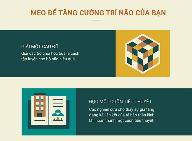 Làm thế nào để bộ não hình thành một thói quen mới?