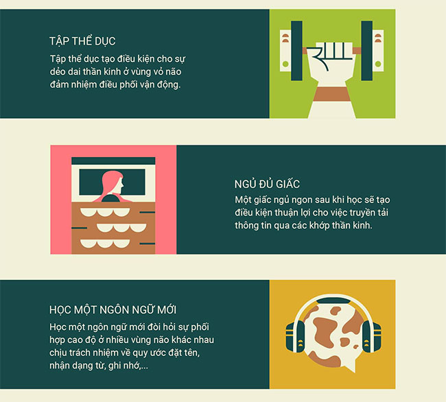 Làm thế nào để bộ não hình thành một thói quen mới?