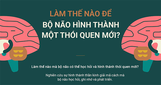 Làm thế nào để bộ não hình thành một thói quen mới?