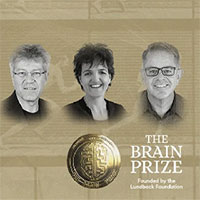 Giải Brain Prize 1,5 triệu USD vừa được trao cho khám phá về mạch vận động, đó là gì vậy?