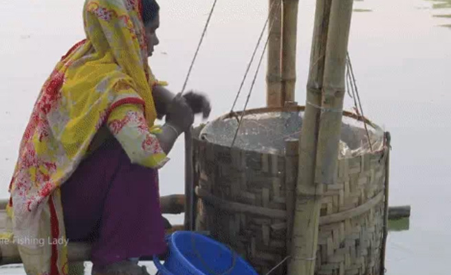 Chiếc bẫy cá bằng tre cực đơn giản.