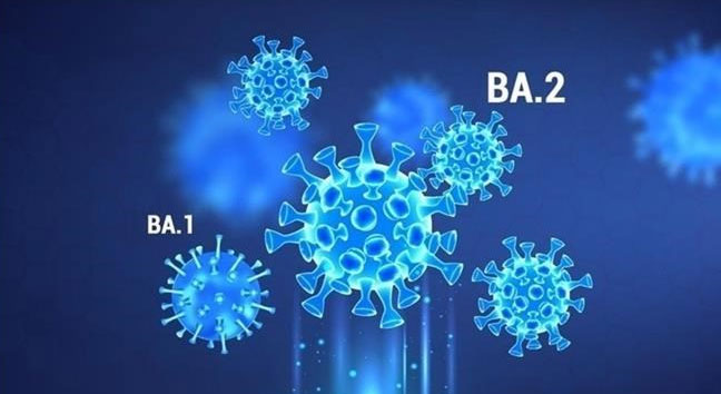 2 triệu chứng đặc biệt nhận biết Omicron 