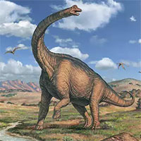 Khủng long Brachiosaurus, chỉ cần nôn thôi đã có thể giết được bạn rồi!