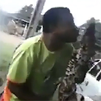 Dại dột hôn cá sấu, người đàn ông bị đớp trúng mặt