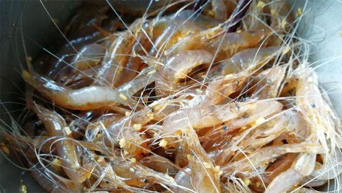 Đặc sản tôm 