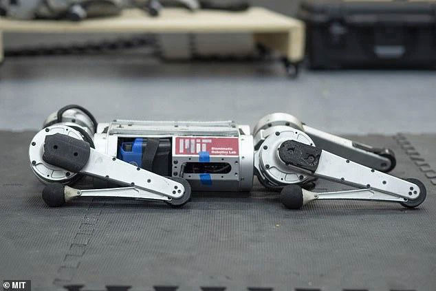 Robot báo Cheetah có thể học chạy để vượt qua giới hạn tốc độ của bản thân